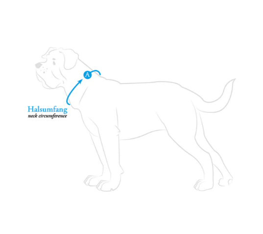 VEGAN - Collar Amalfi