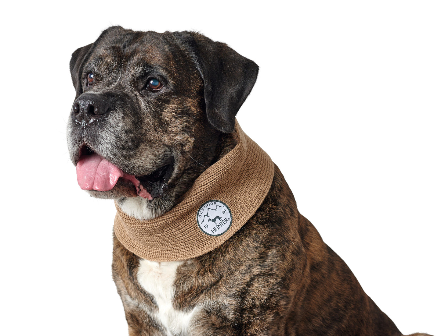 CUELLITO / BUFANDA PARA PERROS