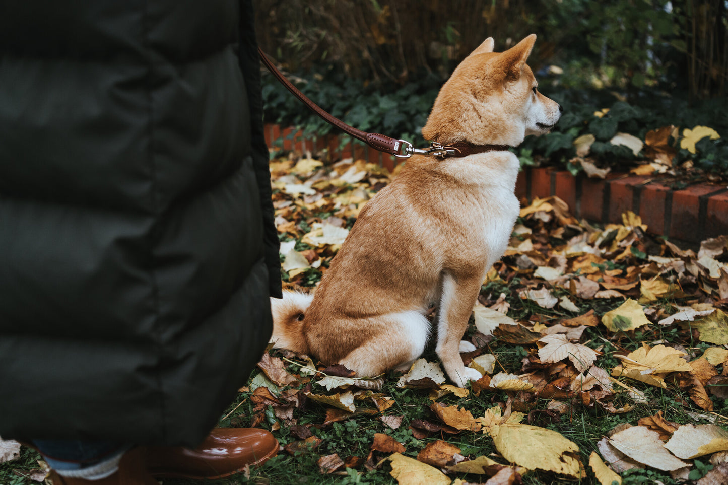 COLLAR Round & Soft - 100% Cuero