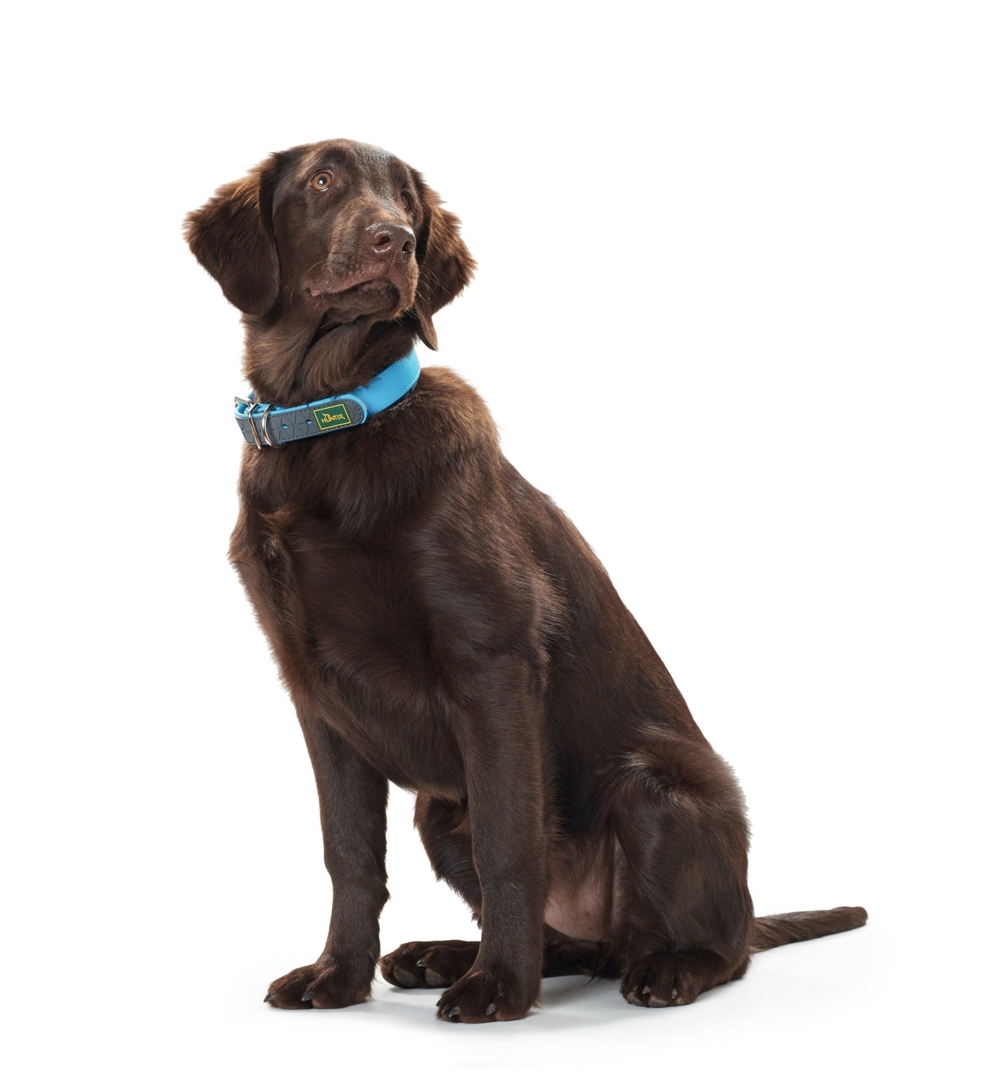 COLLAR Convenience Comfort XL