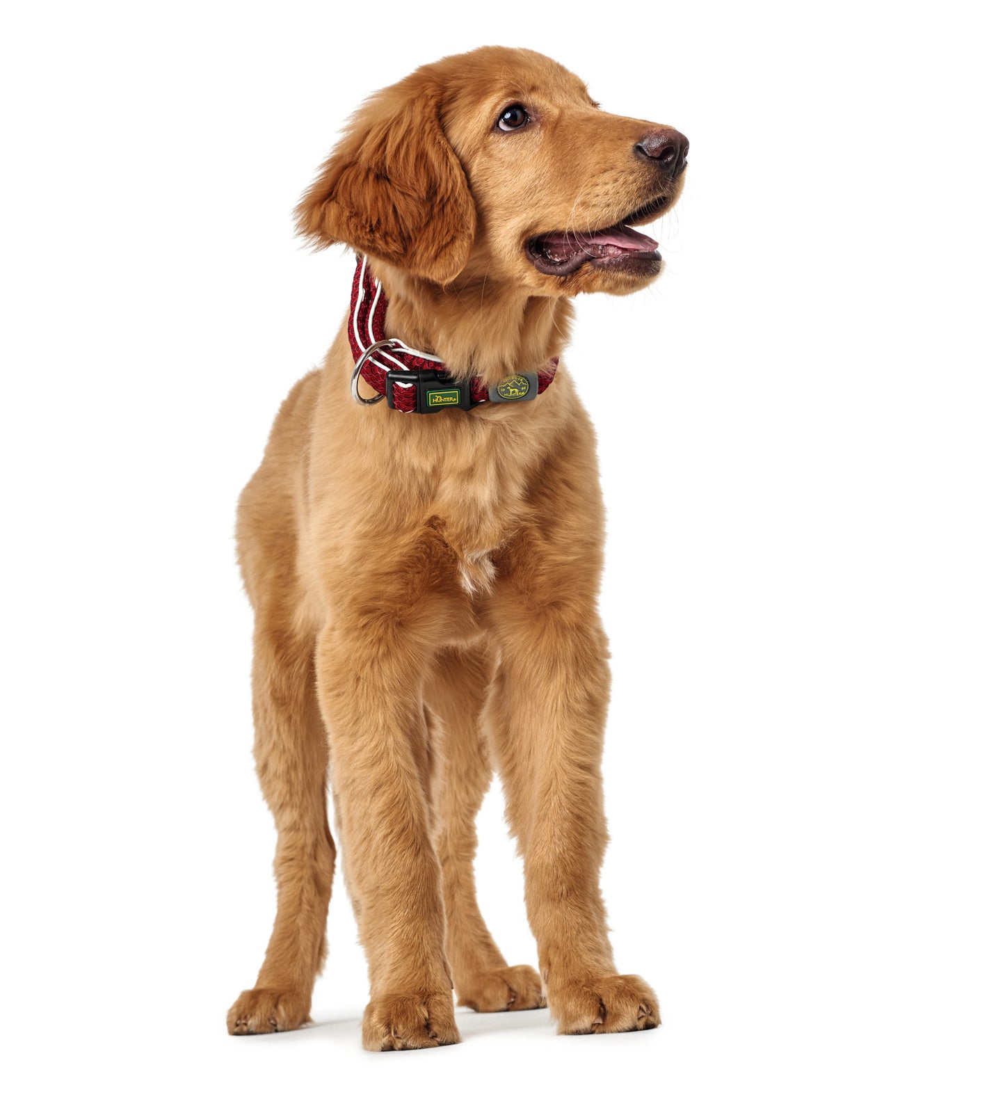 COLLAR - Hilo Refrescante