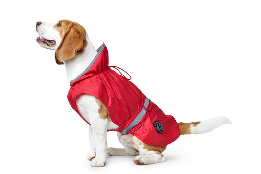 Capita Impermeable RAIN