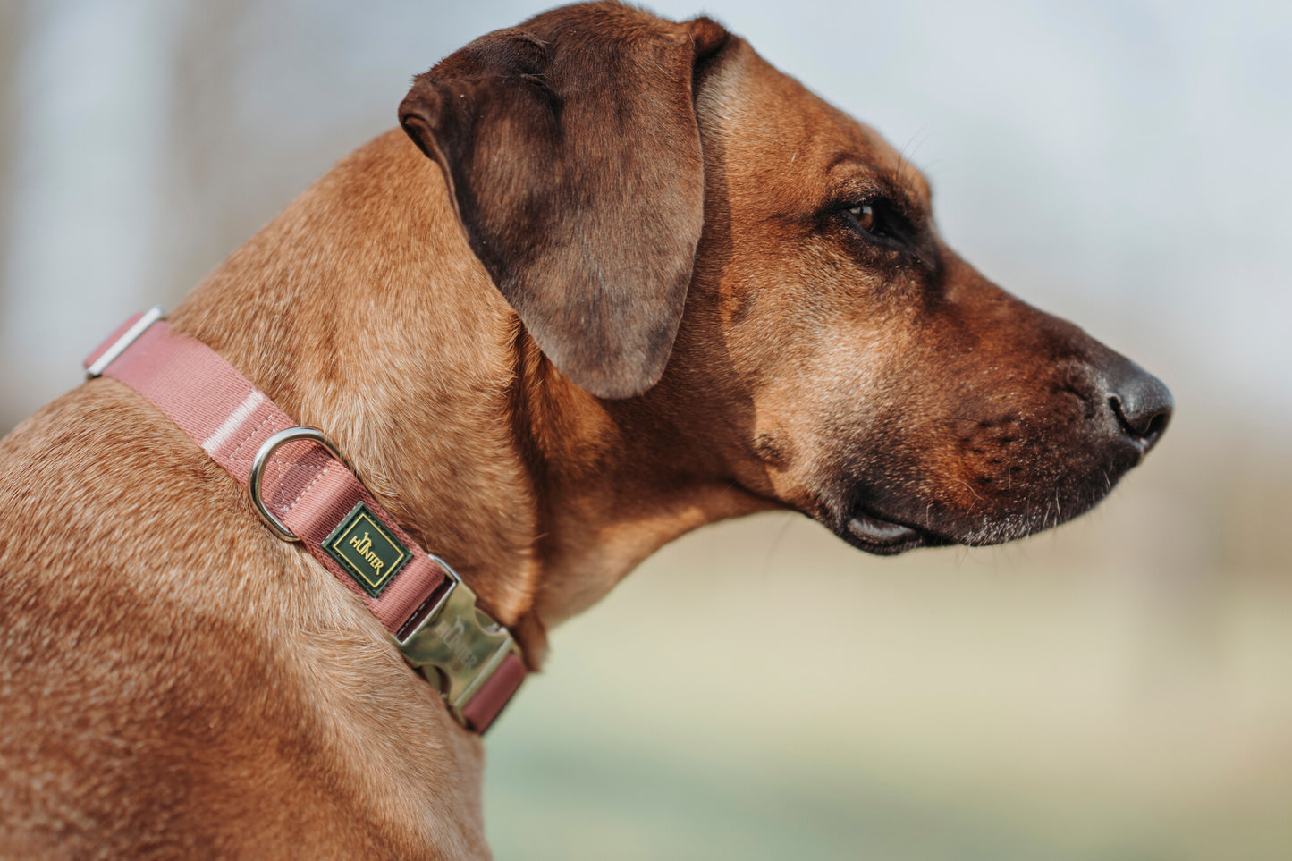 Collar INARI - Alu Strong
