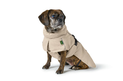 Campera NORDBY Pug & French Bulldog