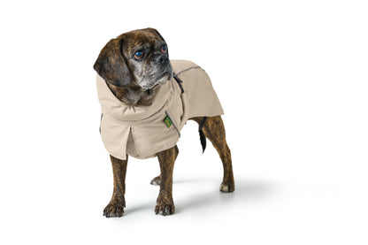 Campera NORDBY Pug & French Bulldog