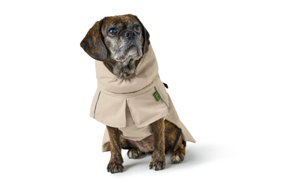 Campera NORDBY Pug & French Bulldog