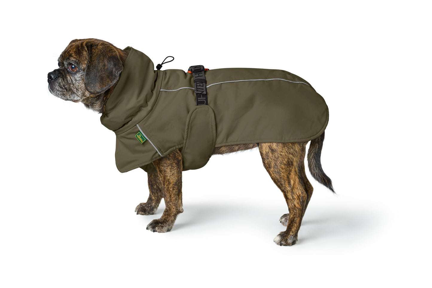 Campera NORDBY Pug & French Bulldog