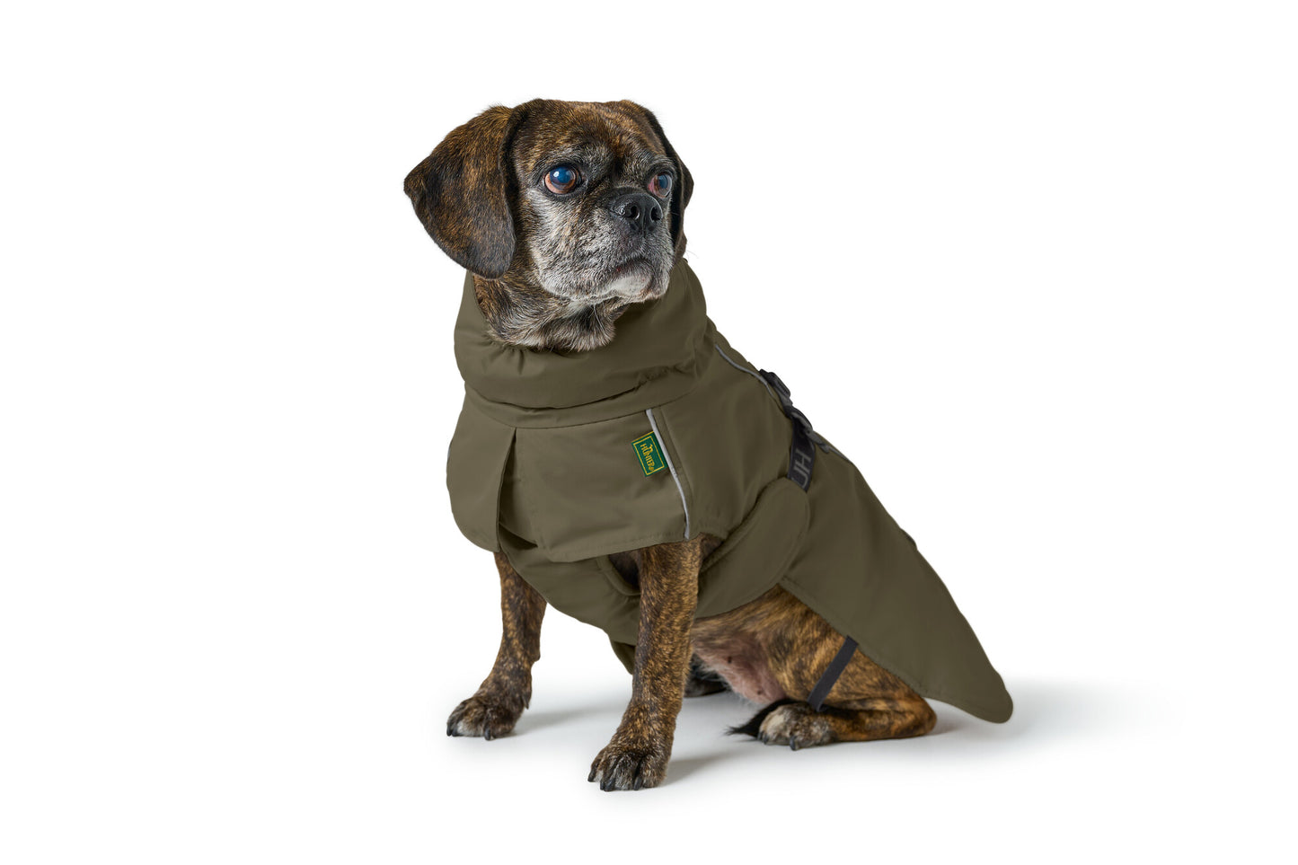Campera NORDBY Pug & French Bulldog