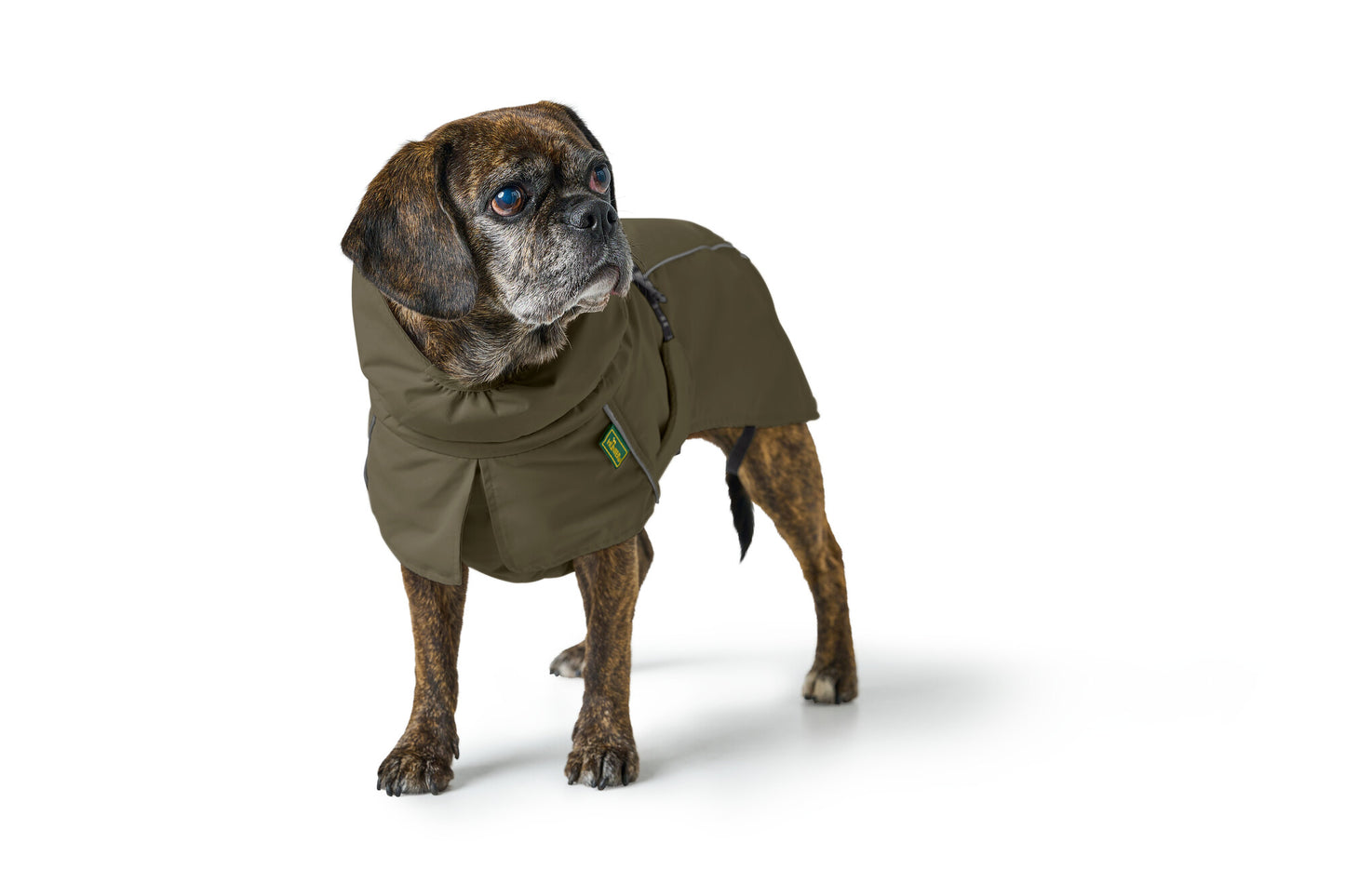 Campera NORDBY Pug & French Bulldog