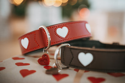 COLLAR LOVE