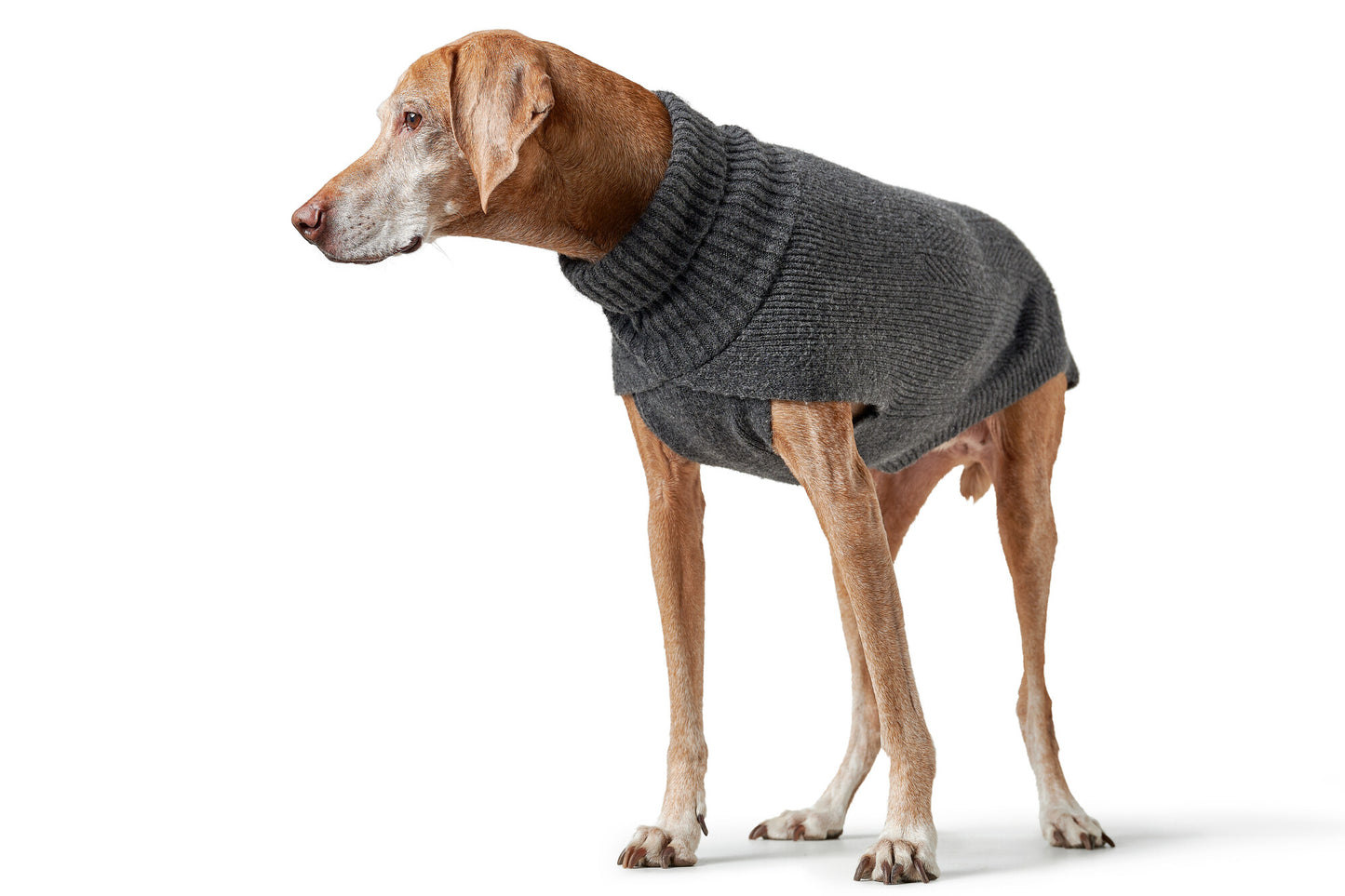Pullover Genf