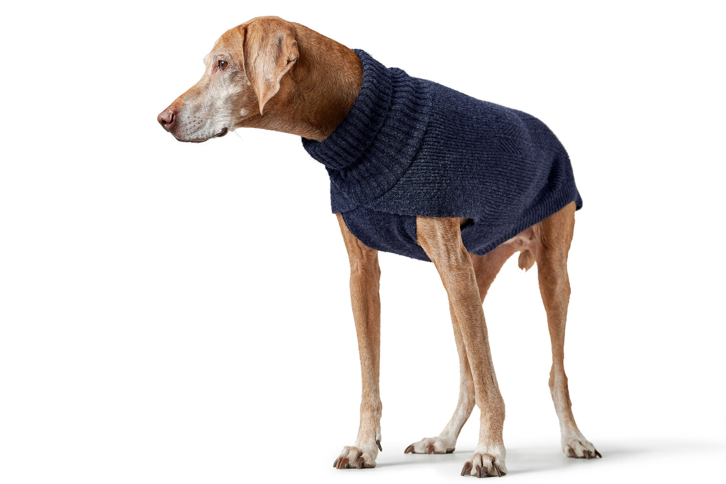 Pullover Genf
